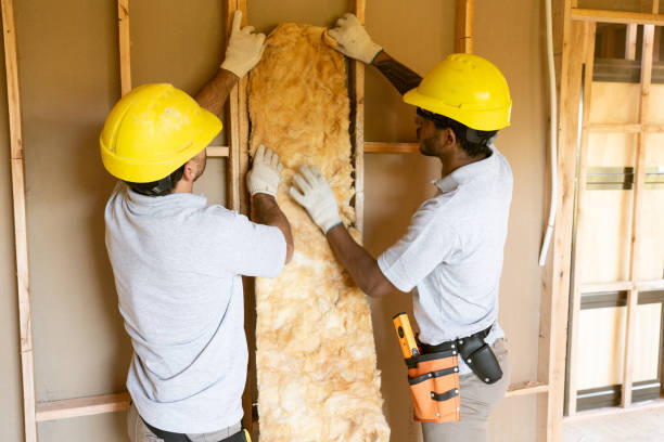 Best Eco-Friendly or Green Insulation Solutions in Weedpatch, CA